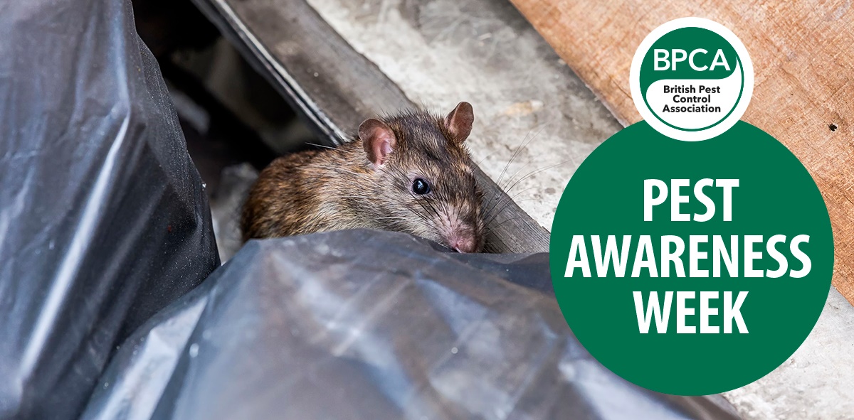 Pest Awareness Week 2018